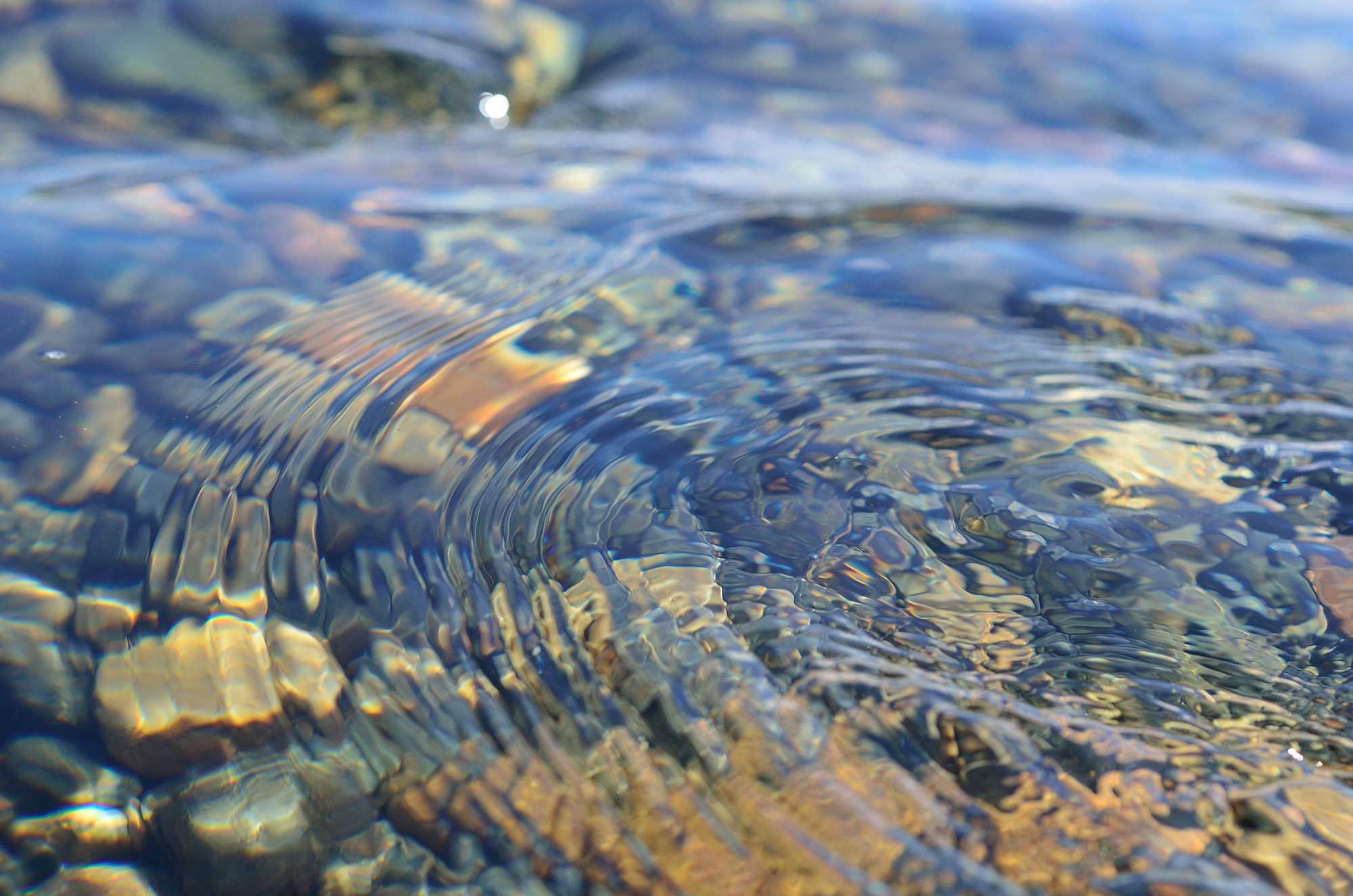 [Translate to Englisch:] clear water lake nature